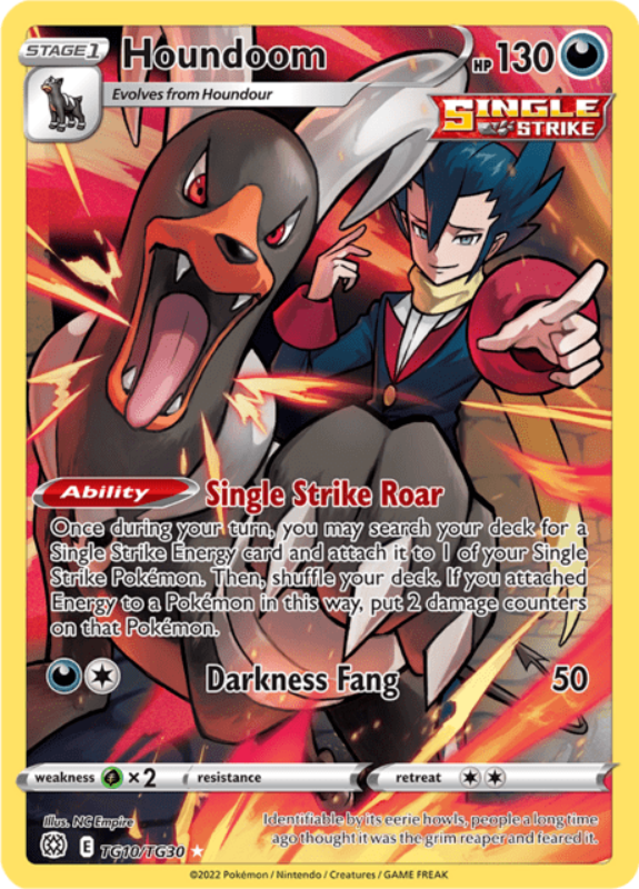 pokemon-houndoom-brs-tg10-englisch-near-mint