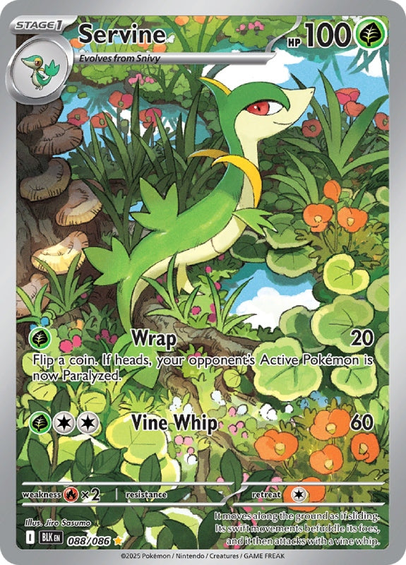 pokemon-karten-servine-blk-088-englisch