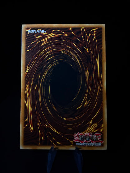 yu-gi-oh-trading-card-game-power-tool-dragon-ghost-rare-raging-battle-042-v-6-englisch-foto1